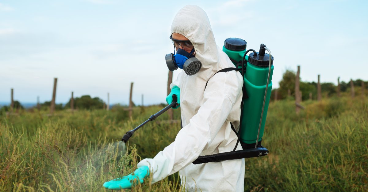 Man spraying outdoor grass
